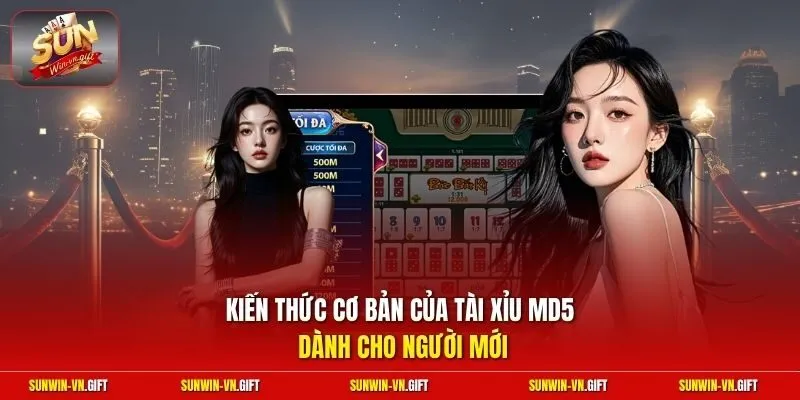 Kiến thức cơ bản của tài xỉu MD5 dành cho người mới